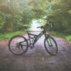 Forest Parks for Family Cycling