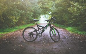 Britain’s 5 Best Forest Parks for Family Cycling