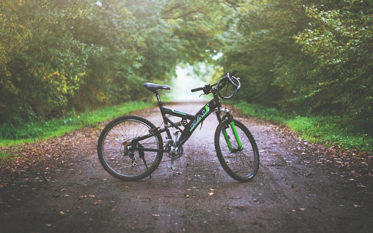 Forest Parks for Family Cycling
