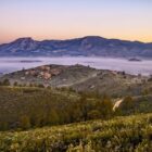 Maximising your Winning Odds with bigbass splash Slots in the United Kingdom: A Comprehensive Guide